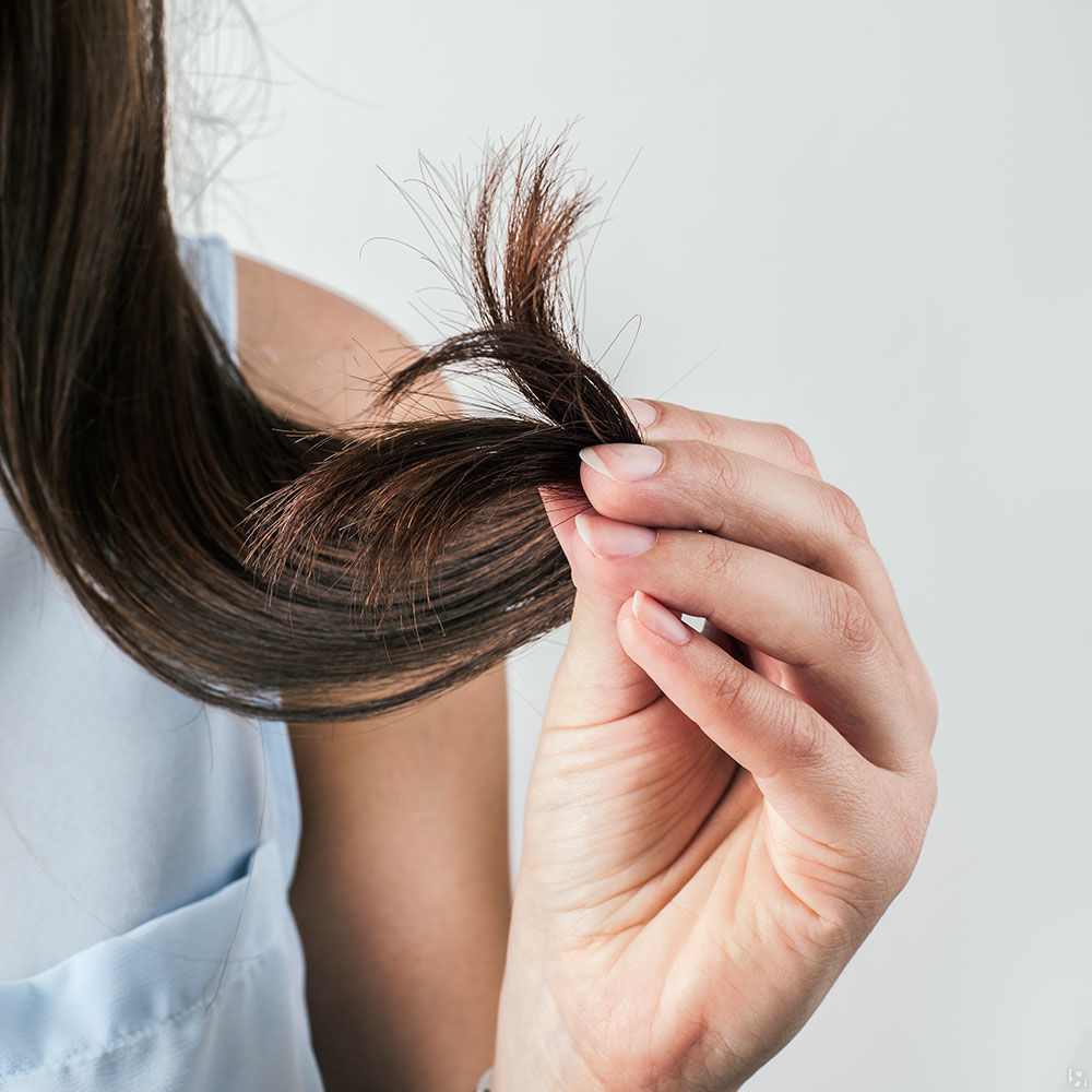 Сухие кончики волос: причины возникновения и способы восстановления